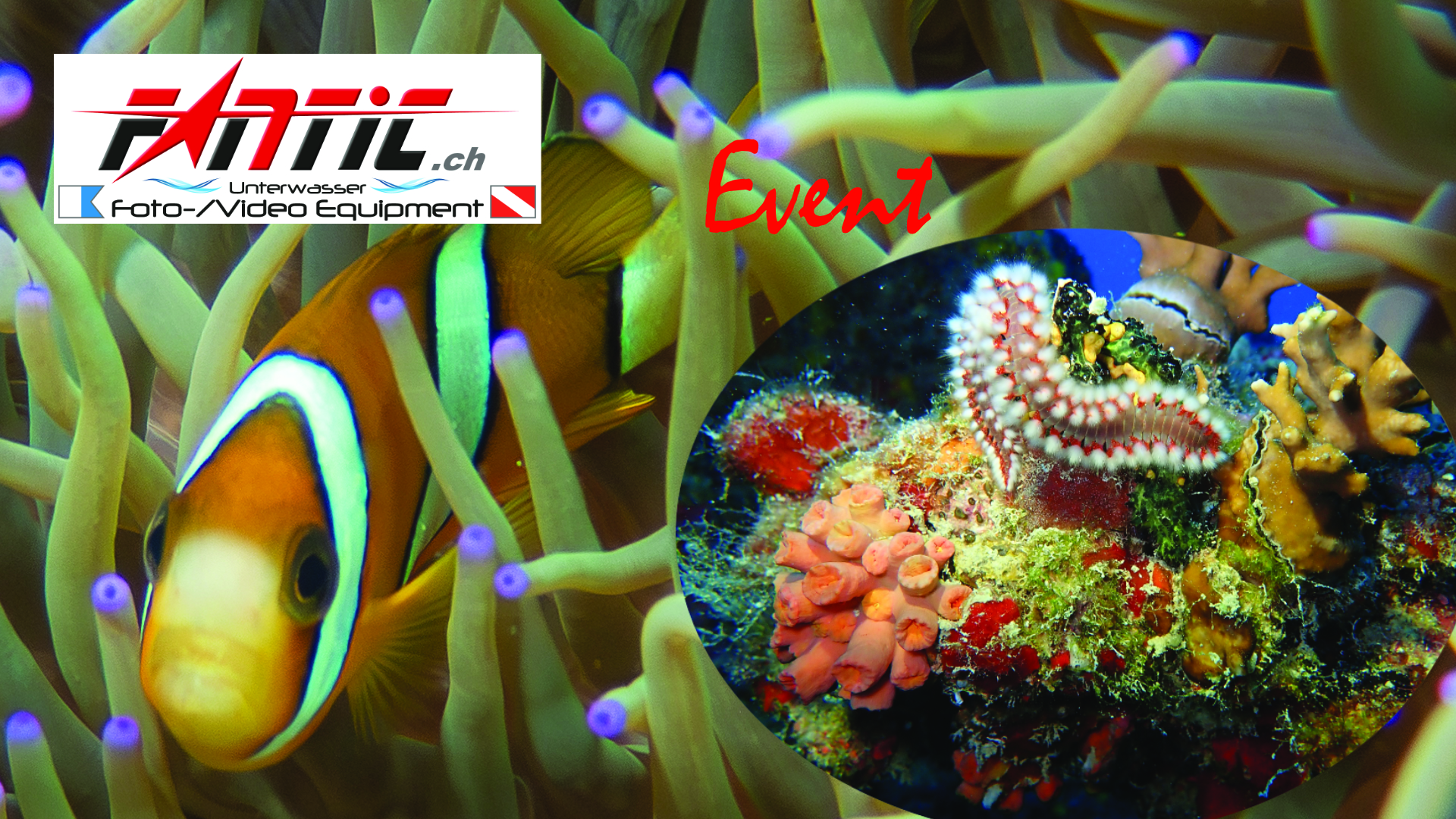 Fantic-Event Unterwasserfotografie mit Blitz und Lampe in Chur.