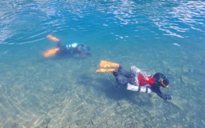Neuigkeiten aus der Unterwasserwelt — Mai 2026