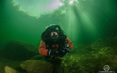 Neuigkeiten aus der Unterwasserwelt — Juni 2026